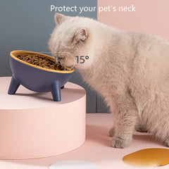 Cat Dog Bowl with Stand