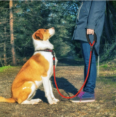 Reflective Nylon Dog Leash Rope