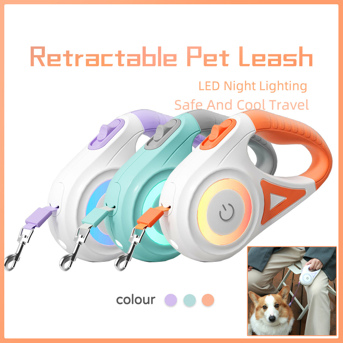 Retractable Dog Leash and Collar
