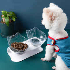 Inclined Transparent Cat Ear Bowl